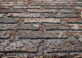 Heath Roofing Images